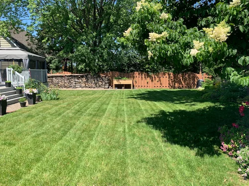 Gazon fraîchement coupé