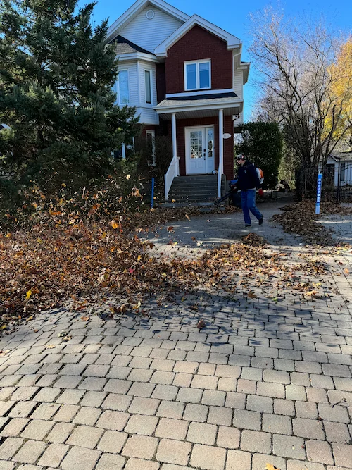 Fermeture de terrain