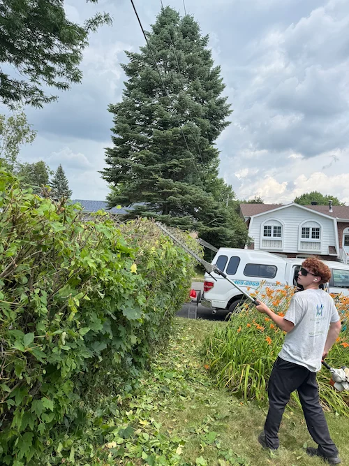 Paysagement résidentiel