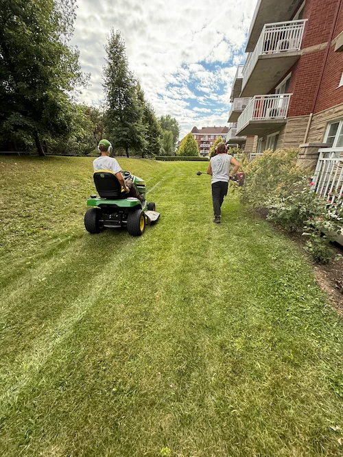 Paysagement commercial