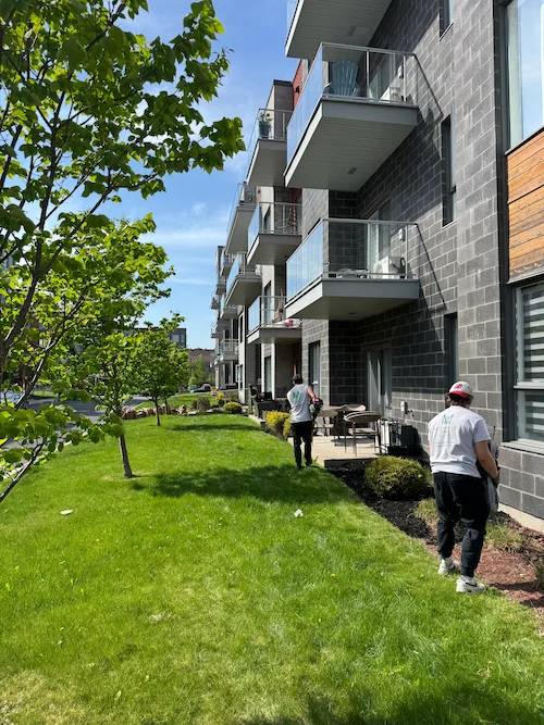 Paysagement commercial